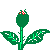 rosa.gif (3284 bytes)